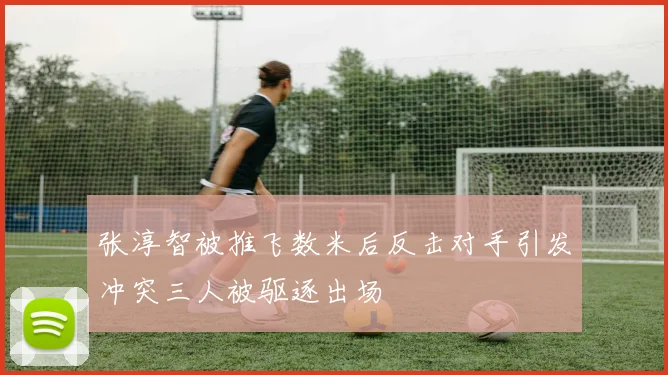 张淳智被推飞数米后反击对手引发冲突三人被驱逐出场
